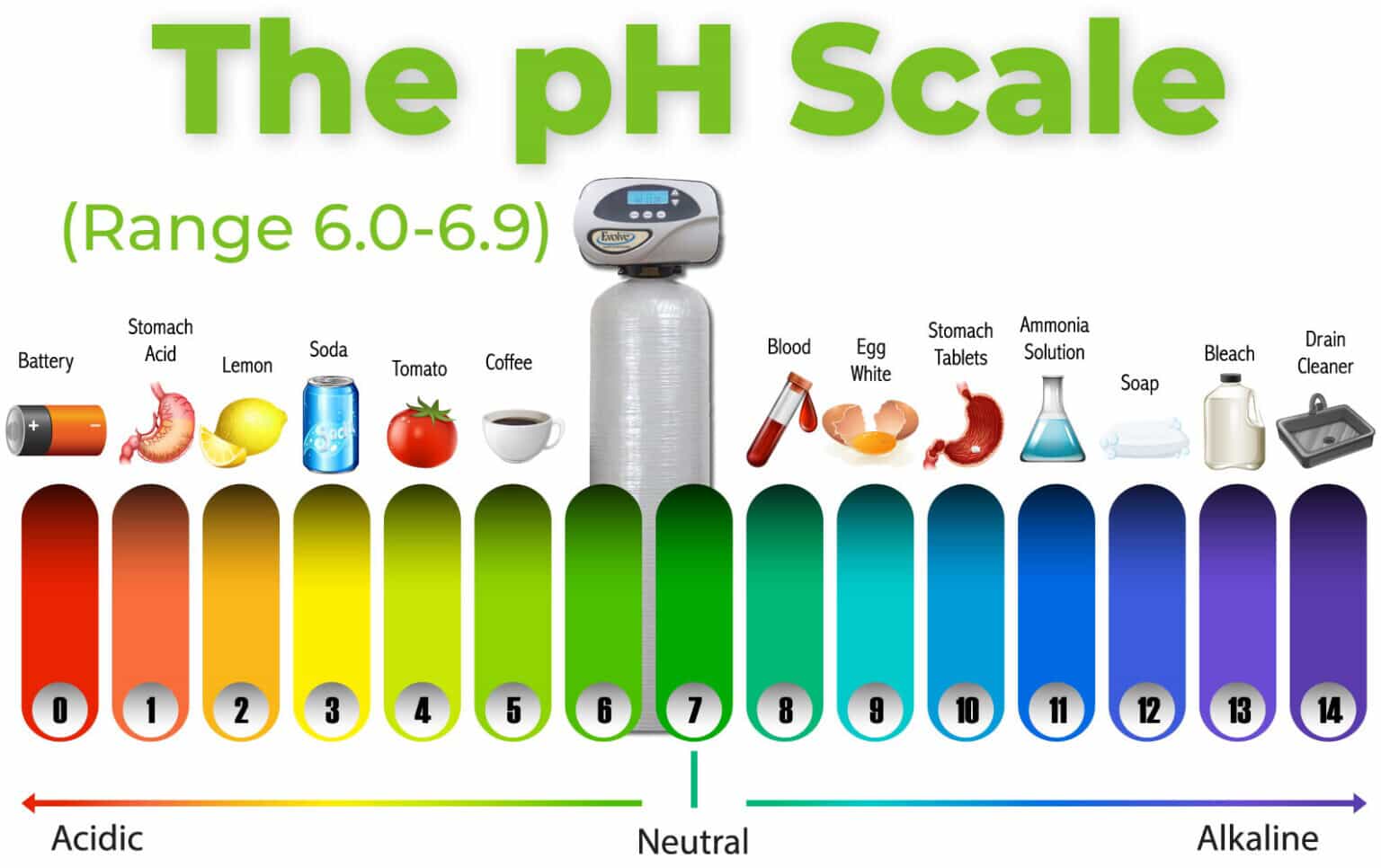 The ph Scale chart