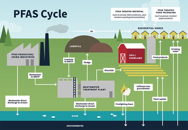 PFAS Water Cycle Infographic